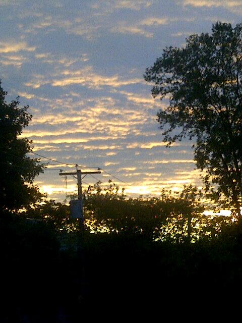 BethersTacoBell's tweet image. Sunset Boulevard..!&amp;lt;333 ....But at Montreal!;&apos;) Love those #MagicalViews &amp;lt;33333 @MacBarbie07