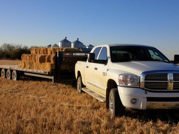 PattonClay's tweet photo. Last load of squares #dodge #harvest13 #squarebales http://t.co/fq3Zc51zCU
