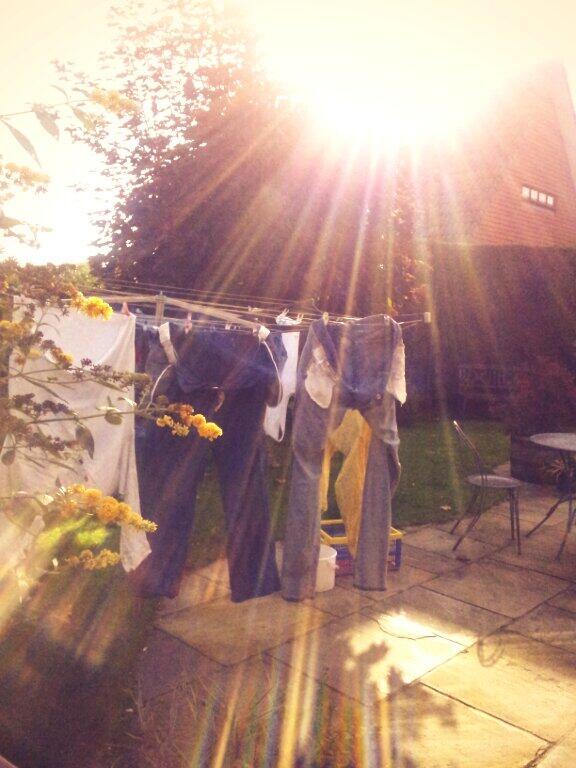 The luxuries of living in the country <a href="/templetheatre/">@templetheatertacoma</a> <a href="/WittyLeaks/">Witty Leaks</a> xx