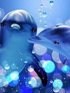 ノア インフルエンサー志望 相互 U Tvitteri 恋愛運アップの待ち受け画像 イルカのツーショット 可愛いイルカさんの画像で恋愛運アップ 待ち受け 恋愛 Uranai 占い 運勢 開運 T Co Zs3cnfeaej