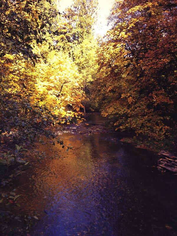 OntheGoFirstAid's tweet image. Goldsteam Park, Victoria. October 7, 2013