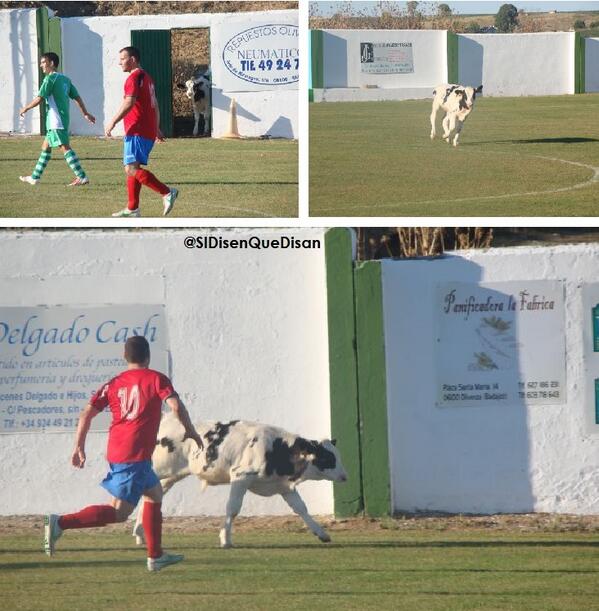 JAReinaGonzalez's tweet photo. REGIONAL PREFERENTE: Sucedió en el San Fco. de Olivenza-Frexnense. Foto vía @SiDisenQueDisan. #futbolextremeño https://t.co/lBvUQpH6mk