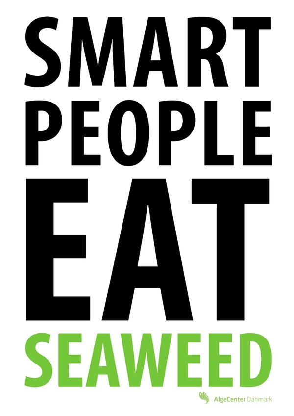 We serve #seaweed at our Macro Algae Conference tomorrow in Grenaa - because smart people eat seaweed! #MAlgae13