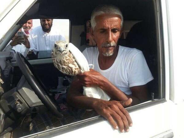 الطير عند دخيل الله المطرفي 
حر الشعيبه
الله يبارك لك