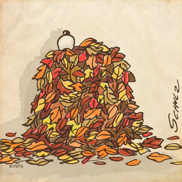 The leaves are falling.