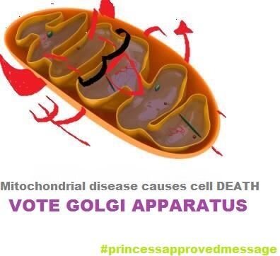 PrincessGolgiA's tweet photo. Is he REALLY who you want to run the cell? #votegolgia #murphpack http://t.co/bprANur59T
