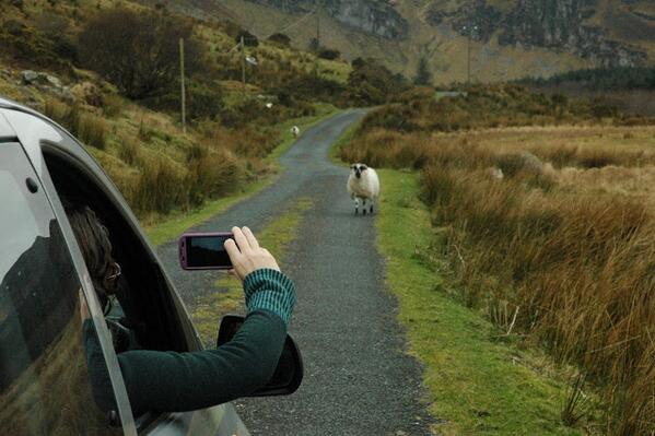 LJayATX's tweet photo. @prAna Who ewe lookin at? #lucia  #merino #woolies #ibex http://t.co/Xrm0GcC8Nf