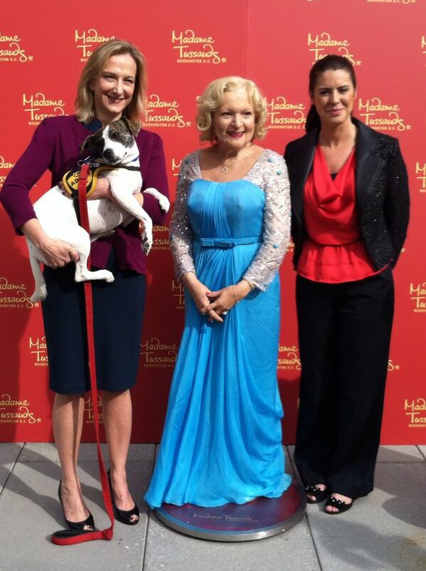HumaneRescue's tweet photo. Introducing @BettyMWhite @DCWax with #AdoptForceOne! http://t.co/ZaYo4Sv1vq