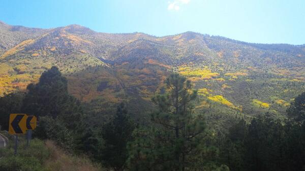 SemarnatCoah's tweet photo. Imagen de la Sierra de Arteaga, Coahuila. http://t.co/RNYLnJZpVr