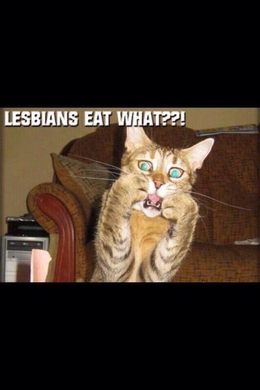 Davidb1987uk's tweet photo. Can't breath hahaha http://t.co/F9PoaLi9Cm