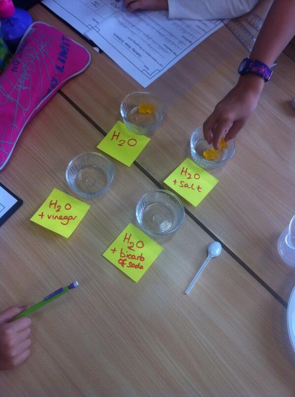 Kkinners's tweet photo. @ISMPrimary @ISMscience @Year3_ISM @Year4_ISM @JenOFee Gummy Bear Laboratory in ISM Y3&amp;4 Science Club! Predictions? http://t.co/yukMbKl8hs