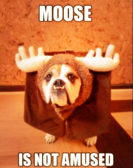 AshleyvRice's tweet photo. @k1blaze moose :) miss you thug :) http://t.co/81mik8Qcmj
