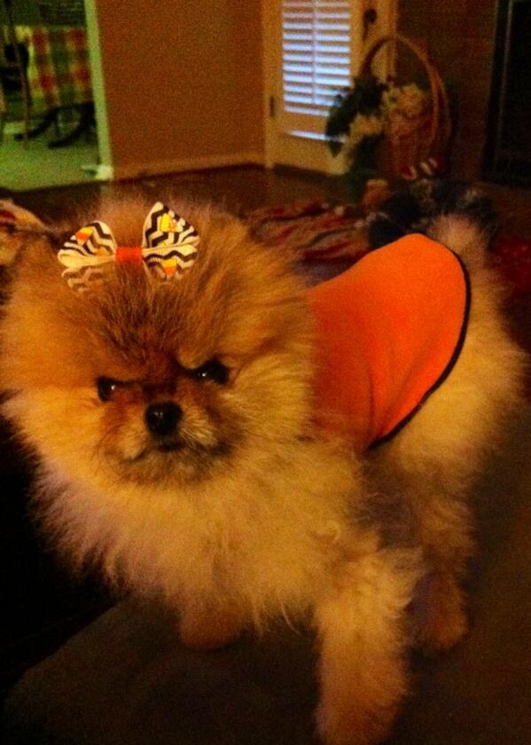 Indalah's tweet photo. Soo cute http://t.co/wQc28Cadd4