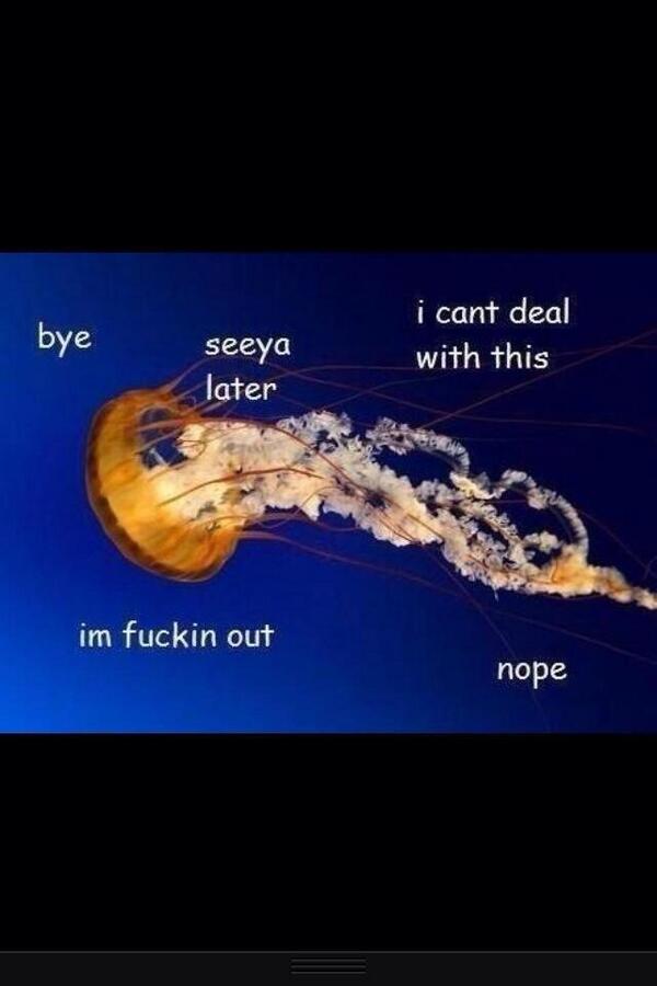 WeHeartMegan_'s tweet photo. In school Megan be like http://t.co/05DWUbraMc