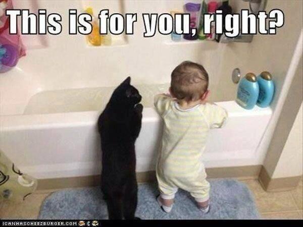 MissABainbridge's tweet image. Cant wait for this! #louieanewbestfriend #littlefamily #complete #oneday