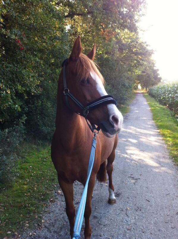 In gedachten de hele dag bij mijn lieve engeltje