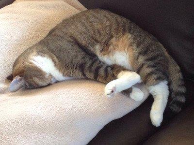 CORIMMC's tweet image. Buenos días,hoy sí puedo permitirme esos 5 minutos más #librando  :)