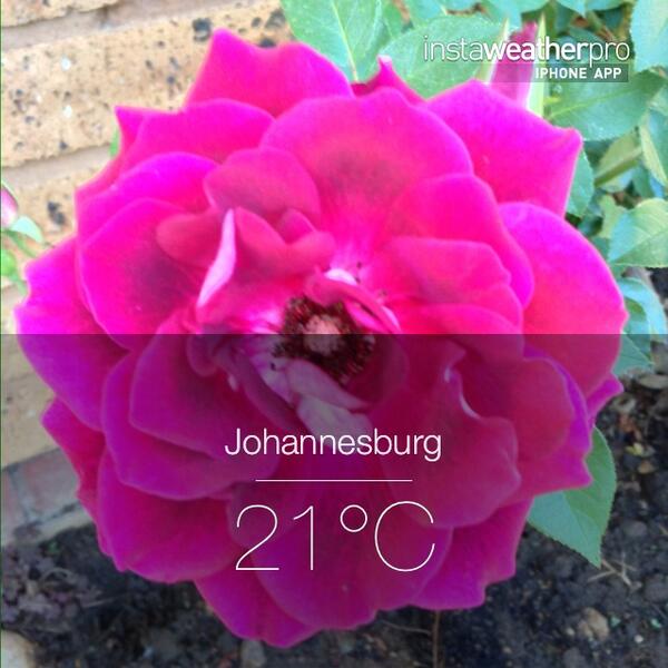 Frankhom's tweet photo. Check out the #Weather in #Johannesburg via #instaweather http://t.co/R6JE30qx9n #wx. http://t.co/dCxBl4RoWF