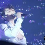 Photo by Donghae (@90ELF)