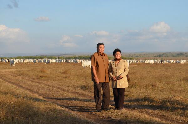 Foto - Presiden SBY &amp; ibu negara Ani Yudhoyono di antara pdang savana yg penuh dengan sapi, di Sumba 2012 yg lalu.