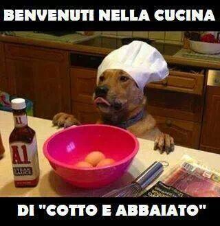 oliverkoll's tweet photo. Cotto e.... http://t.co/NDP5XWKkfV