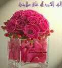 hibandr tweet picture
