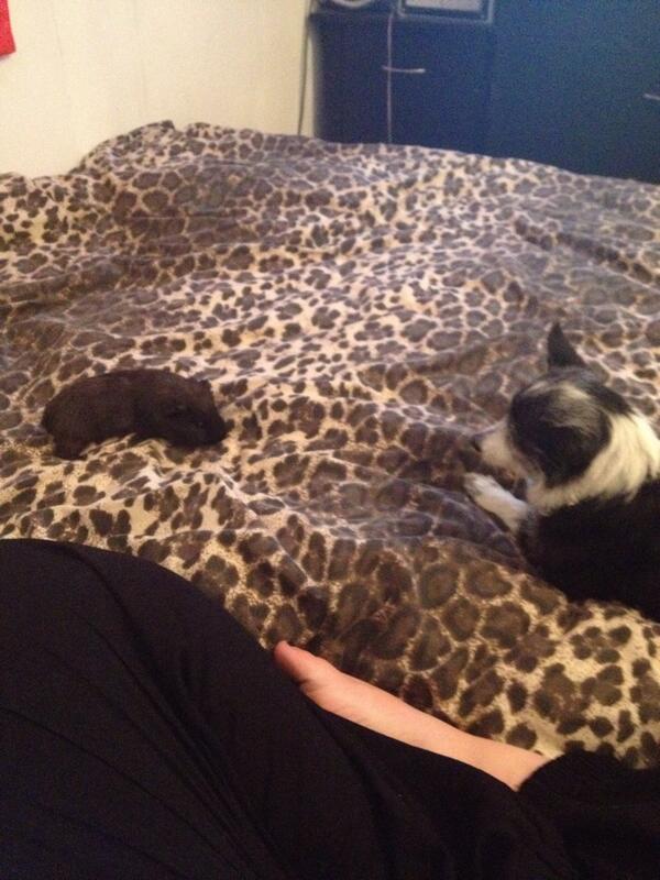 amcd91's tweet image. 