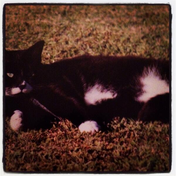 amcd91's tweet image. 