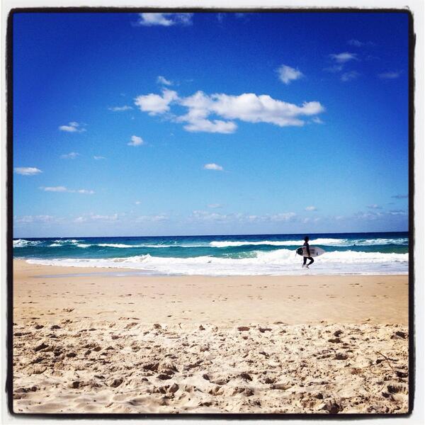 amcd91's tweet image. 