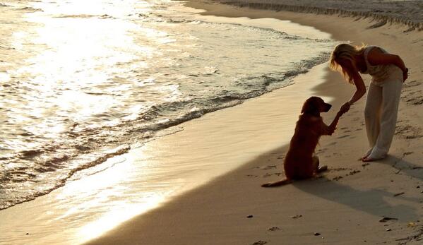 FtMorganBeach's tweet photo. The @975wabd Hottie of the Week loves the pet-friendly sands of #FMB! @QtipandBlondie http://t.co/bpmFUIgbIu