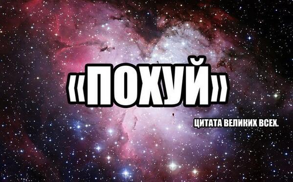 Ваще пахую. Вообще похуй заминированный тапок. Футболки с нецензурными надписями. Похуй похуй вообще похую. Пахую.