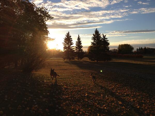 MikeyZed_'s tweet photo. A good morning indeed! http://t.co/y92BCHy7EG
