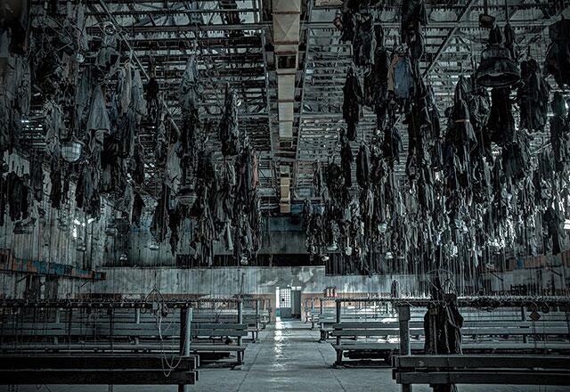 Enlace permanente de imagen incrustada