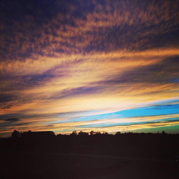 WhatsFun.com tweet media