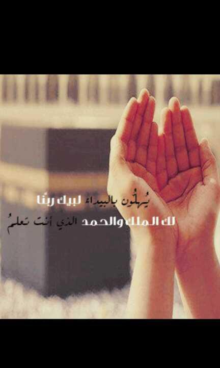 hibandr tweet picture