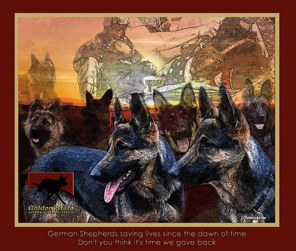 A sweet note from our Facebook inbox: facebook.com/permalink.php?… #gsd #germanshepherd #dogrescue