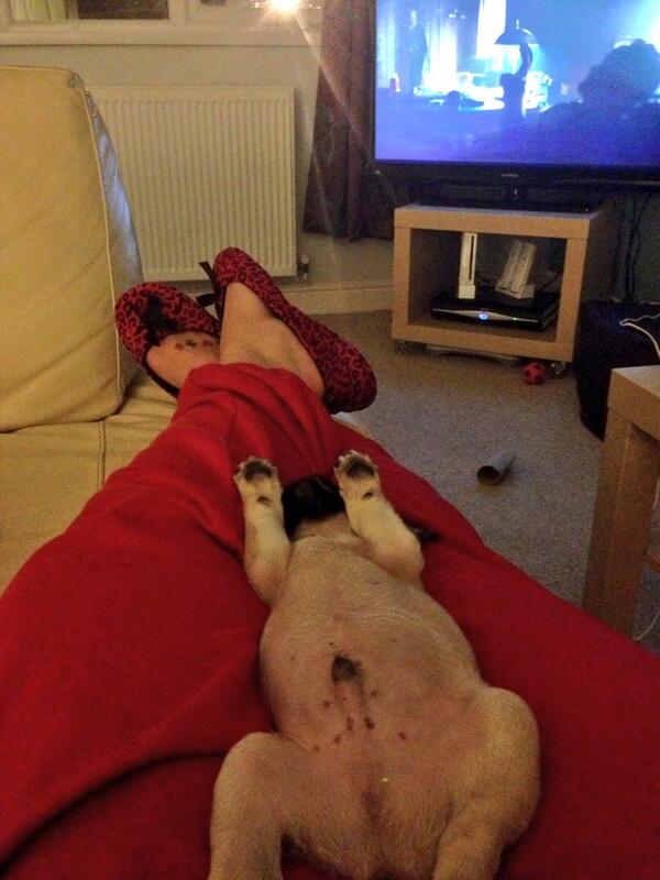 VegasThePug's tweet image. Jus Chillin' #SofaDen