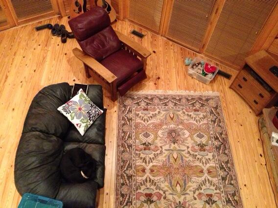 sofi_dog's tweet photo. Fine, if you're not going to sit on the couch, the I will keep it warm for you. http://t.co/BXEV77wxUj