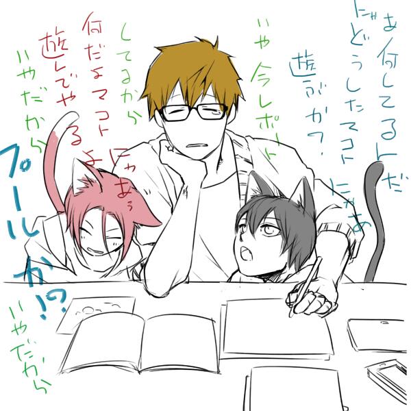 猫妄想が終わらない 