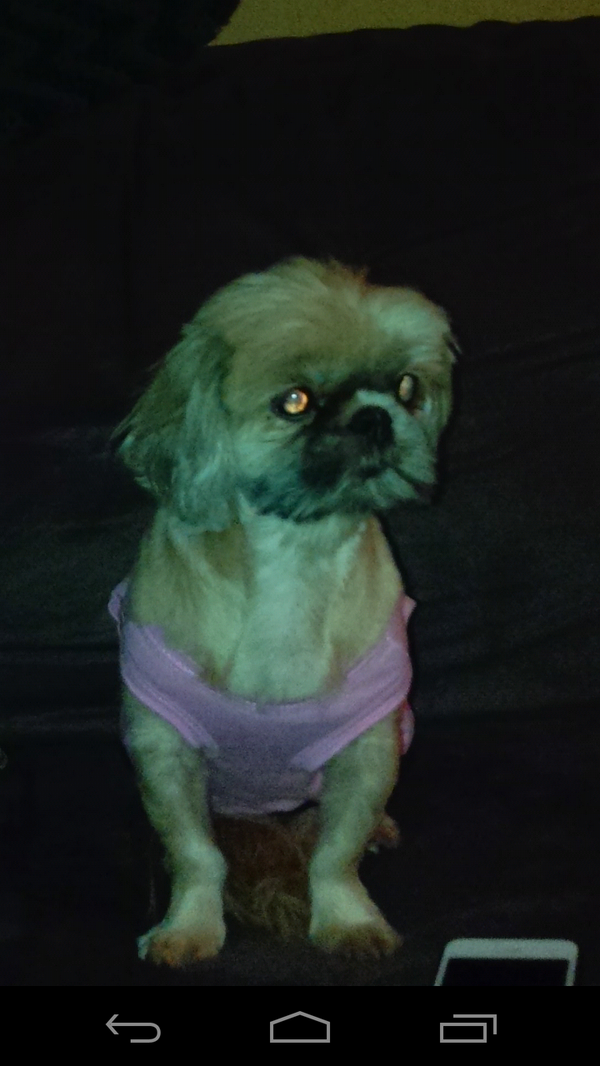 MaddyWi07946974's tweet photo. http://t.co/s6GhNnMEF1