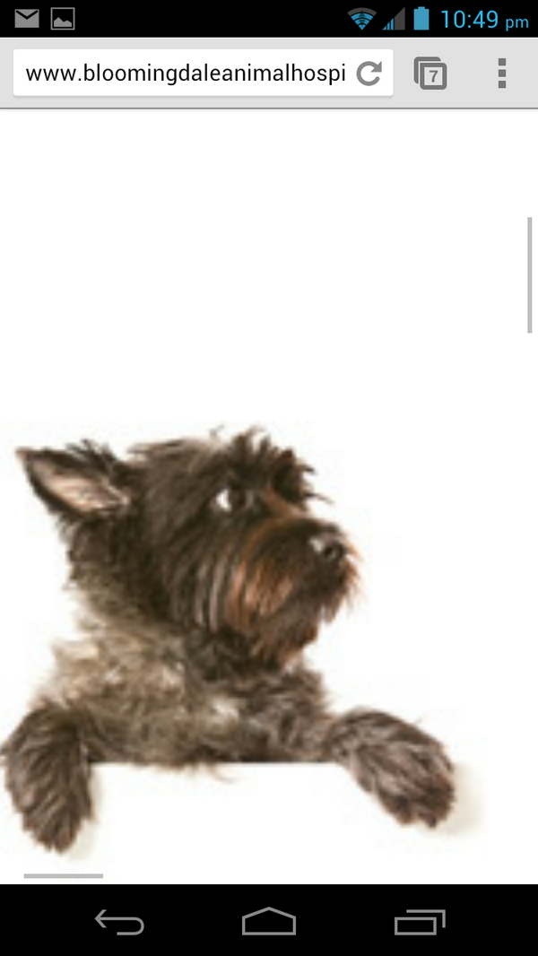 MaddyWi07946974's tweet photo. http://t.co/Ow52LooWRi