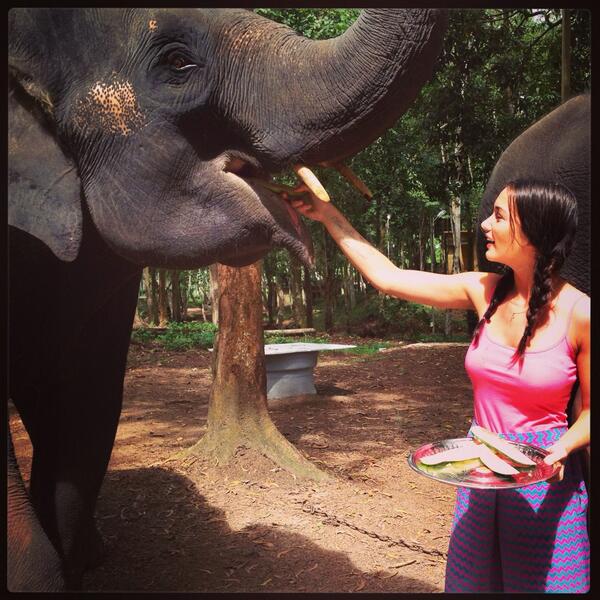 Amy Jackson spends time with elephants