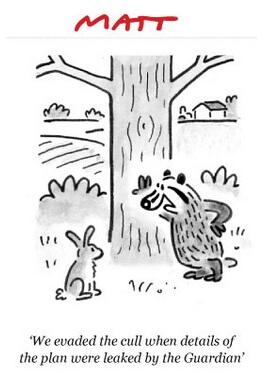 Heathrow Director tweet media