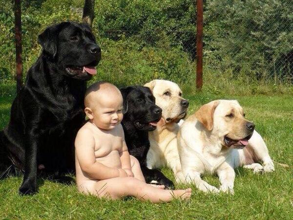 JODYHiGHROLLER's tweet photo. BOOTY HAD ME AND MY DOGS LiKE ... http://t.co/IQiXvWChpa