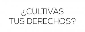 GrowLandiaOFI's tweet photo. #Abogados del #Cannabis: La nueva tendencia #legal - http://t.co/340Jh792BC http://t.co/jhPluo7Iq6