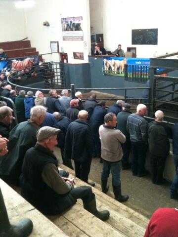 declangumley's tweet photo. Carrigallen mart @surewhatelsewouldyoubeat http://t.co/vNB0Np3PlT