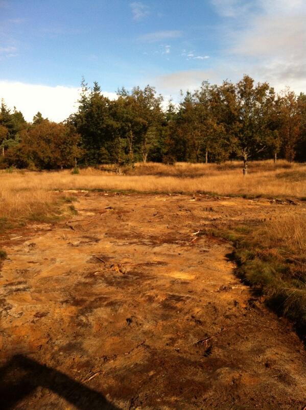 patrickphuiting's tweet image. “@MarkusRozenveld: Werkzaamheden bij het heideveld in norg voor natuurmonumenten # mooi norg http://t.co/l1LEpDSkbj”laat de heide maar komen