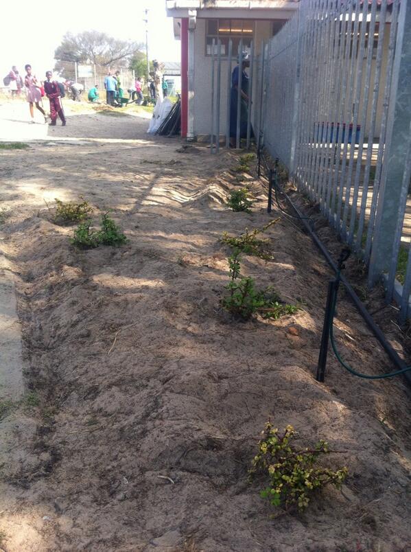 FoodPods's tweet photo. Irrigation is going into place as the kids at Eluxolweni PS head home for the day! #CheckersTweet4Trees http://t.co/CSTI4QlwGk
