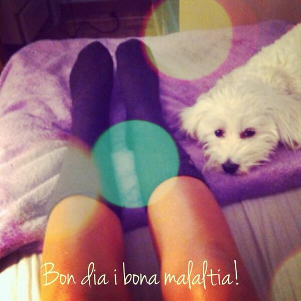 claussBP's tweet photo. Bon dia i bona malaltia! http://t.co/BKzncI8MKC