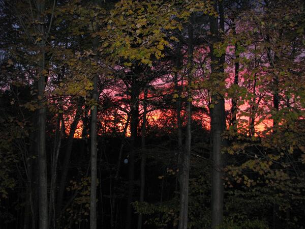 Sunset in Morrisville - what a place to live.